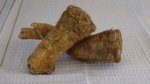 Horseradish Root