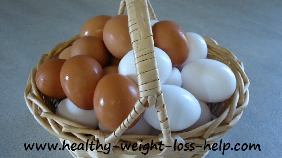 Egg Nutrition