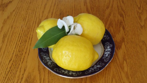 Benefits of Lemons