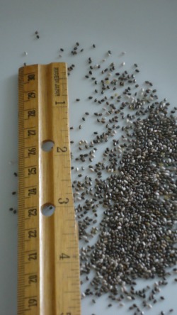 Chia Seeds are super small