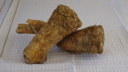 Horseradish Root